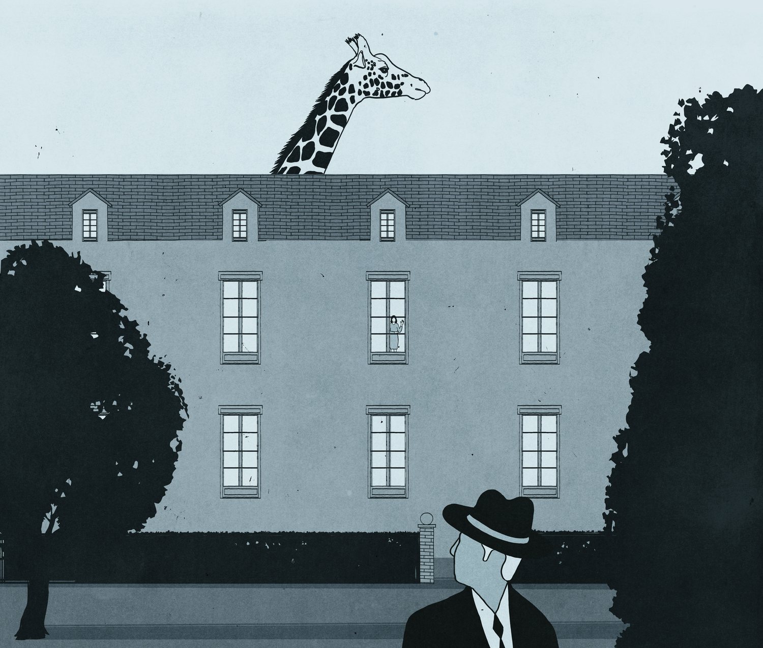 Giraffe over the Wall