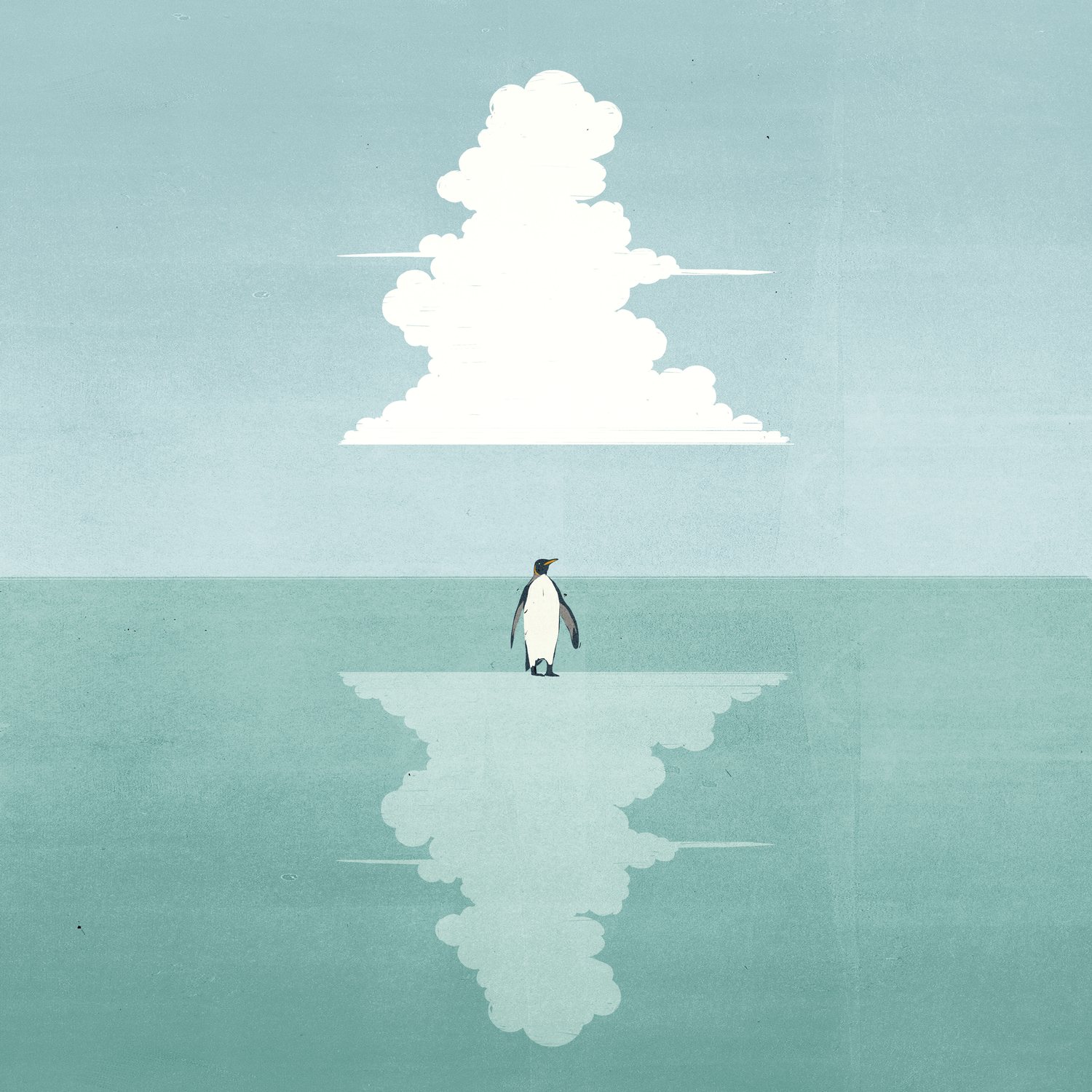 Penguin Reflection