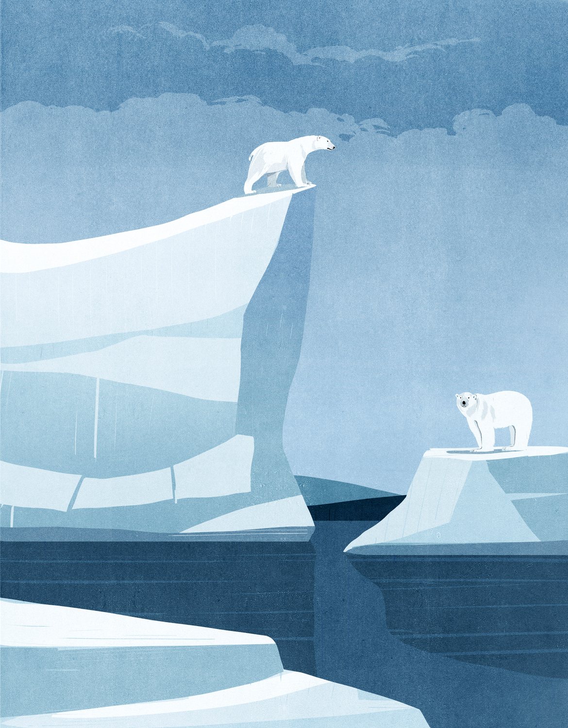 Polar Bears on Ice