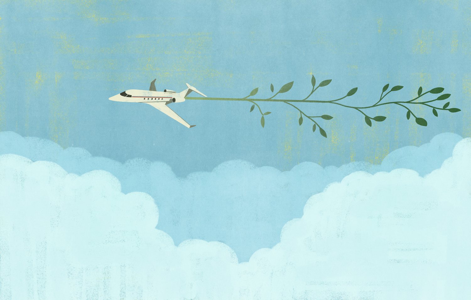 Airplane with an Olive Branch