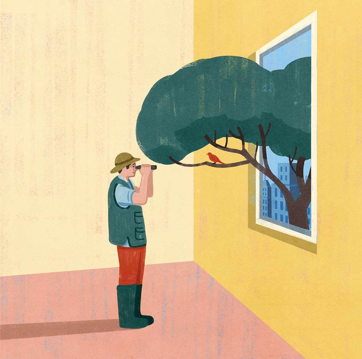 Birdwatcher