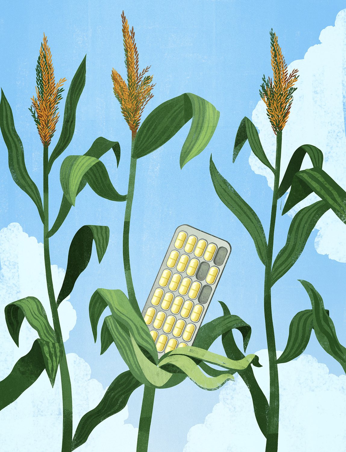 Corn Pills