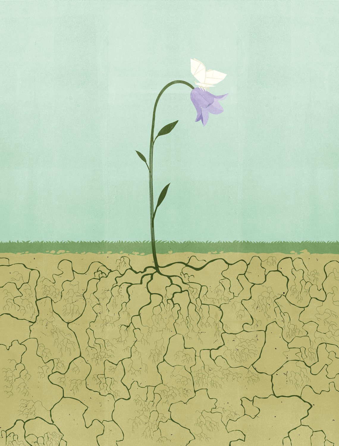 Flower in the Drought