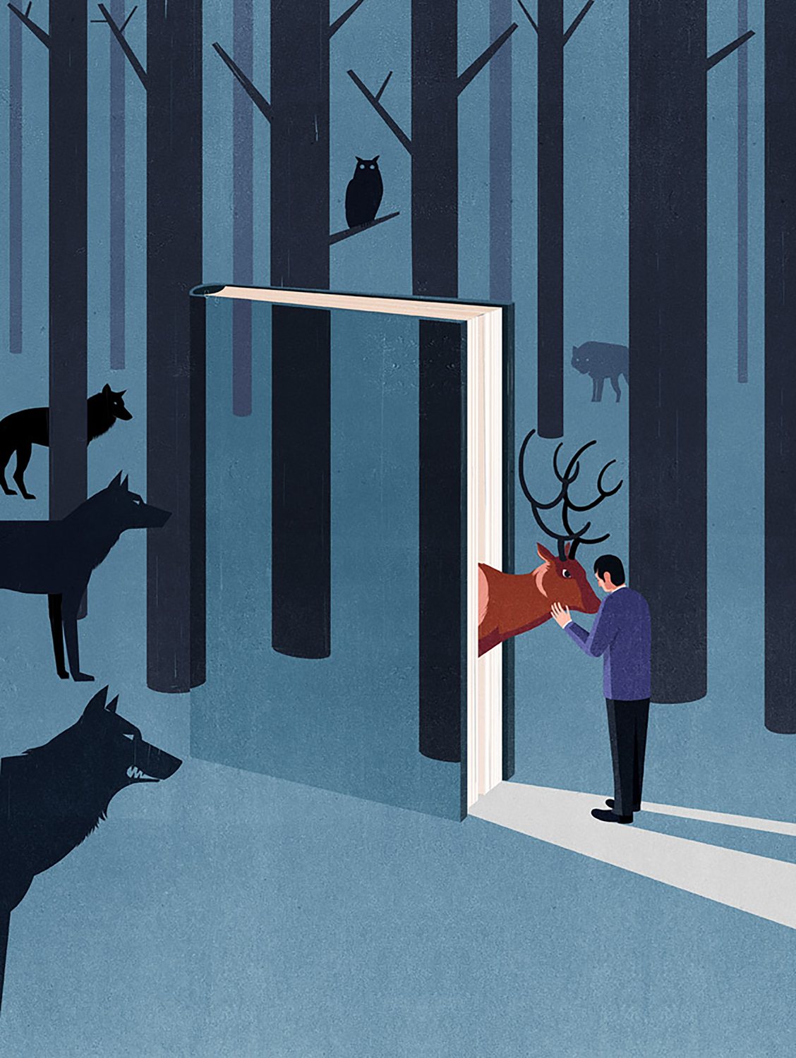 Door in the Forest
