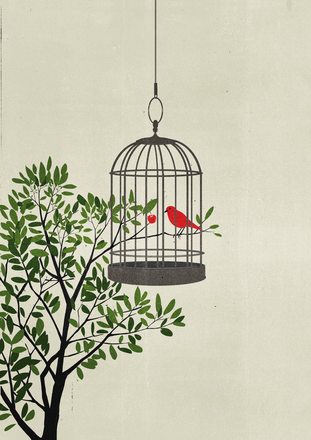 Open Cage