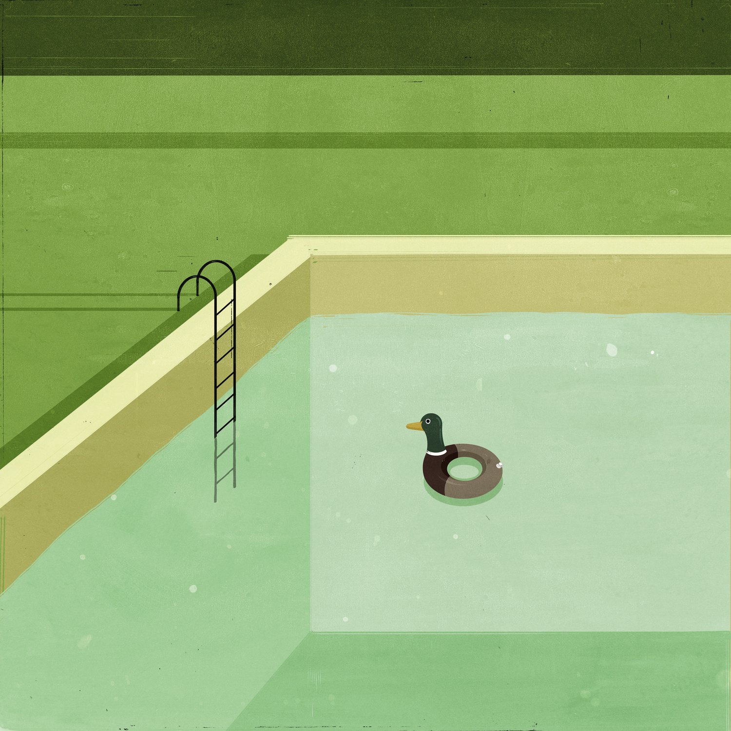 Duck in the Pool