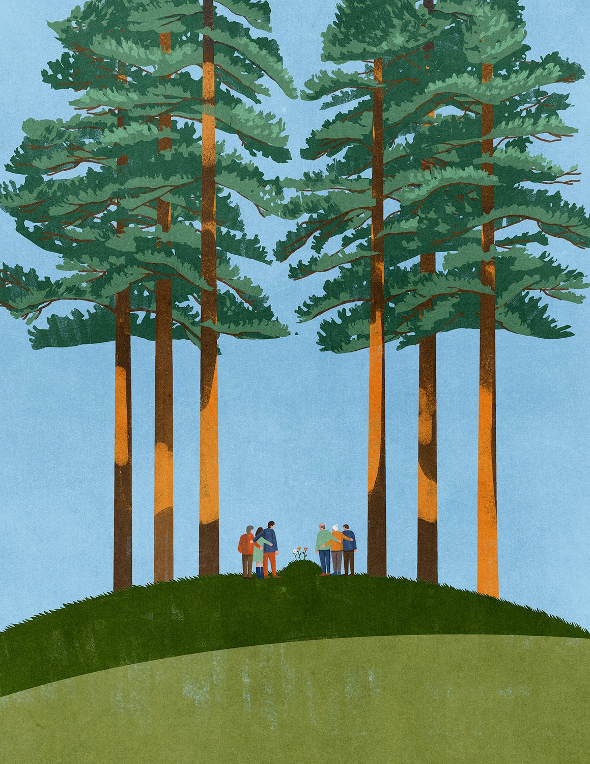 People among Tall Pines