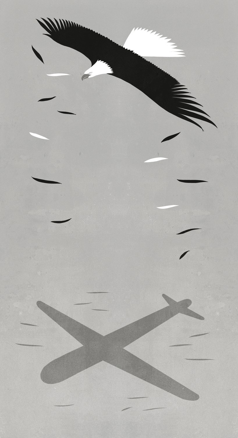Eagle and Plane Shadow