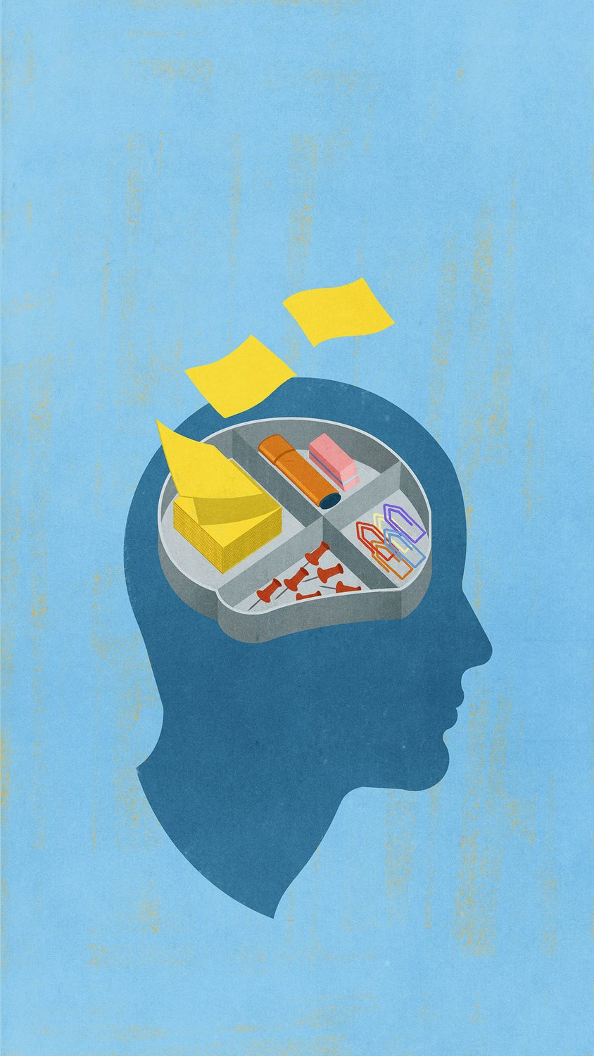 Organised Mind
