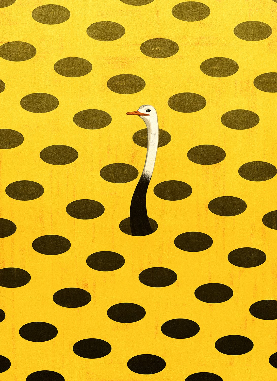 Ostrich in the Holes