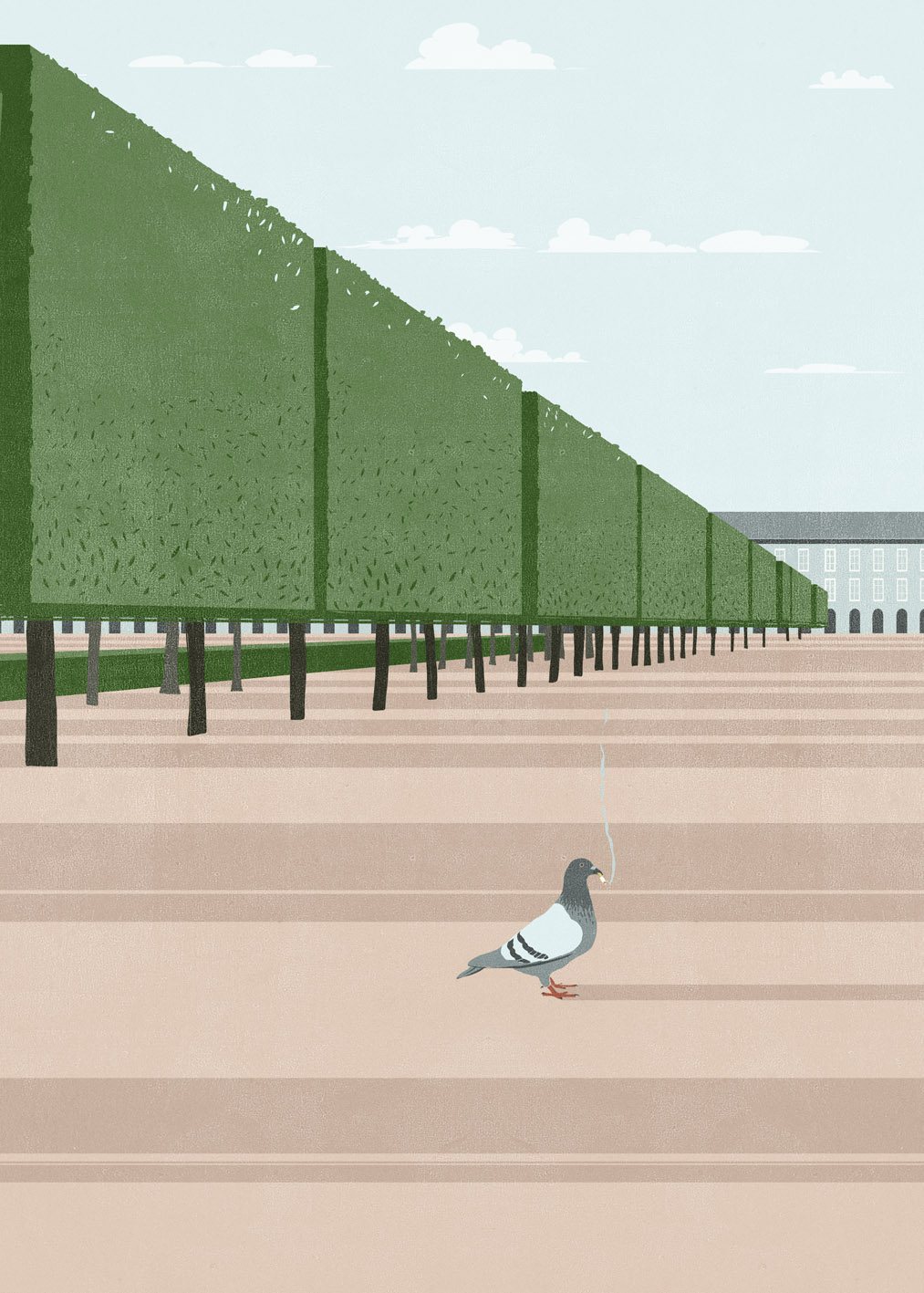 Hedge Avenue