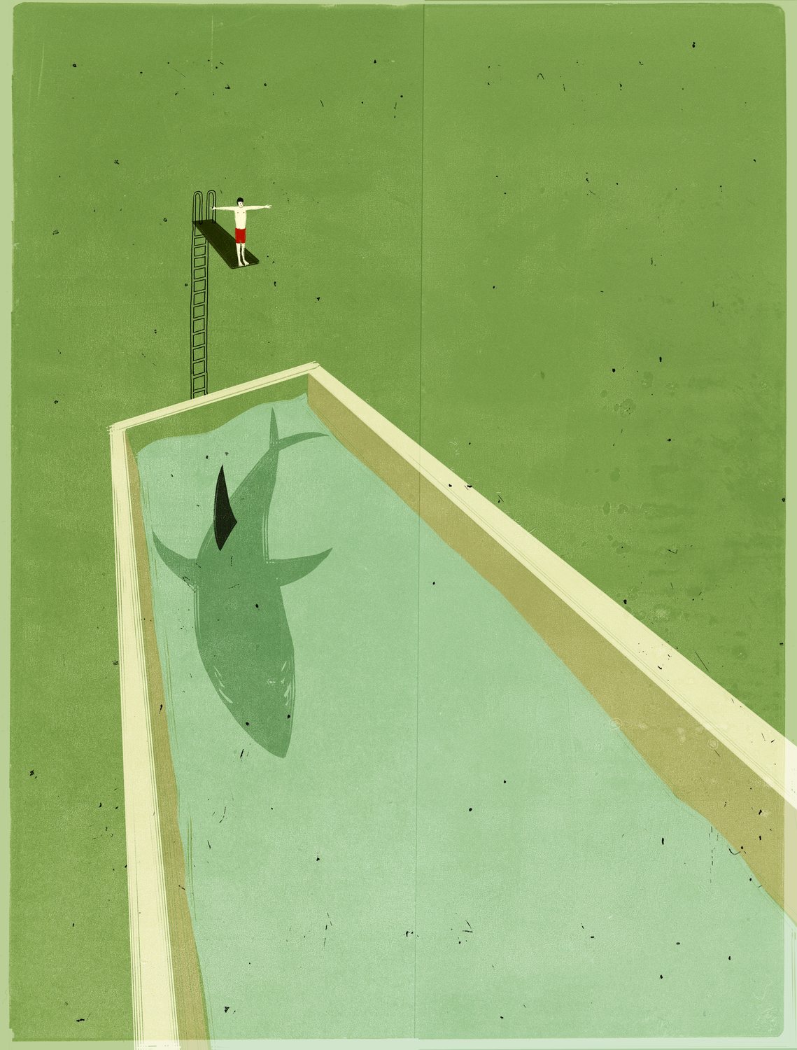 Shark in the Pool