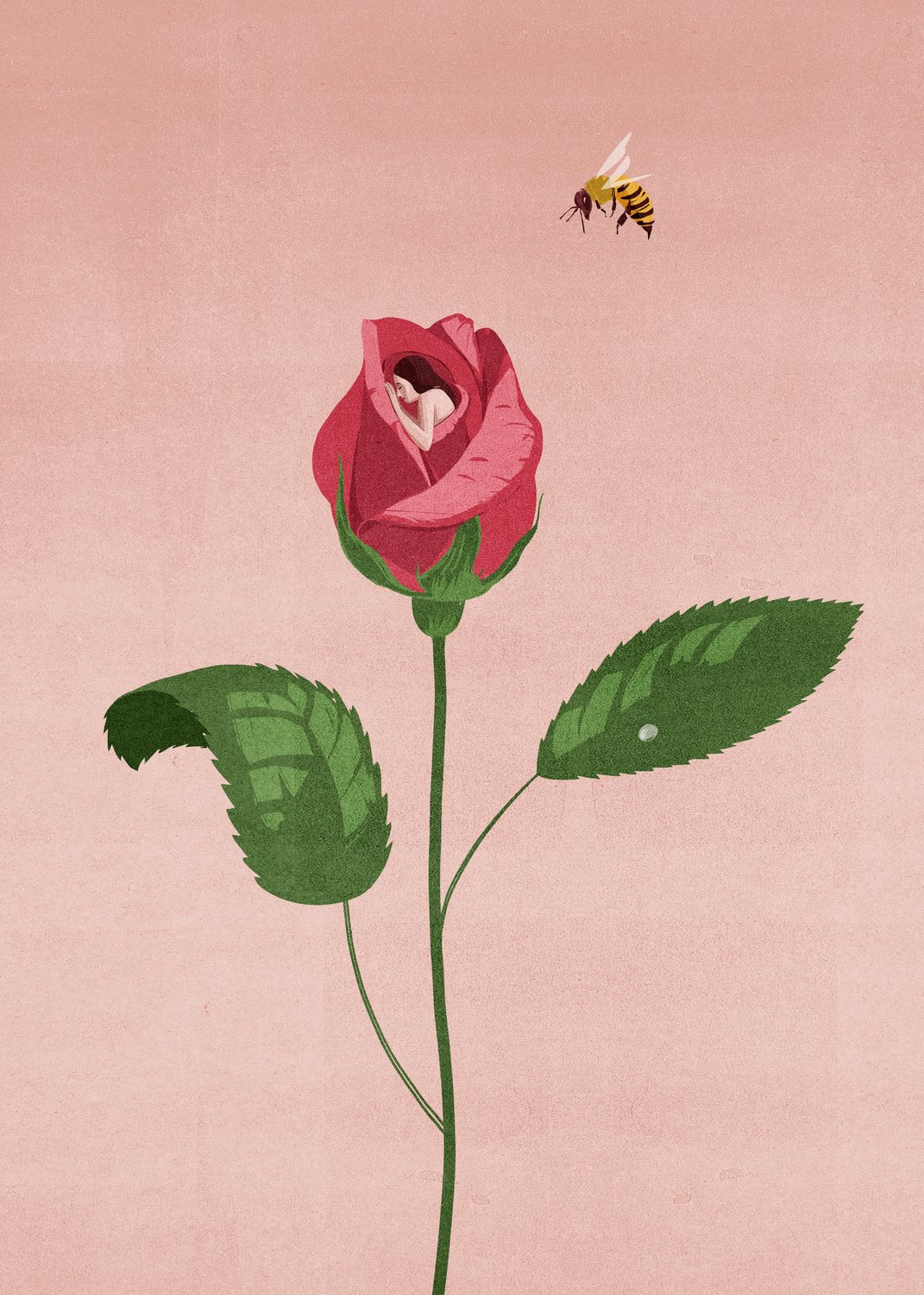 Rose and Bee