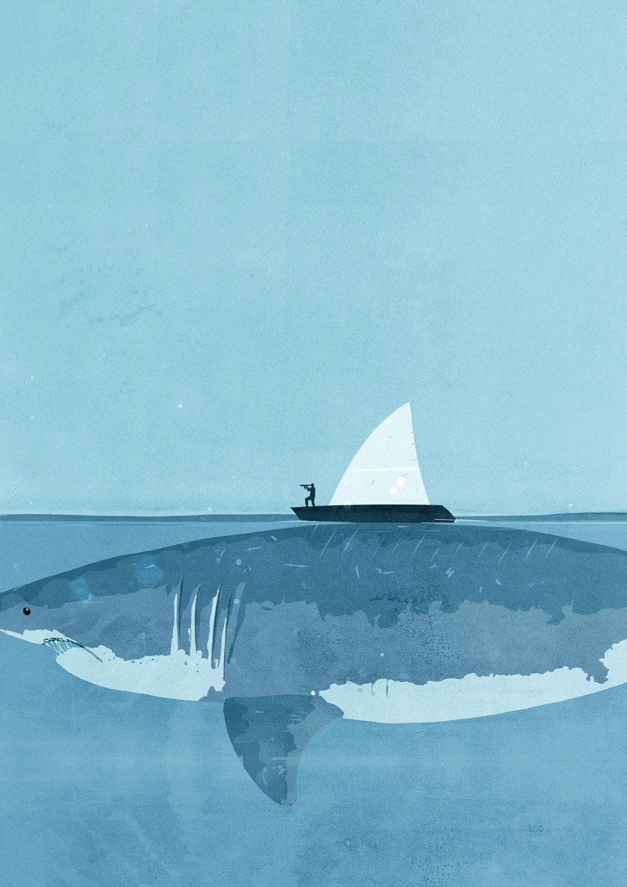 Shark beneath the Boat