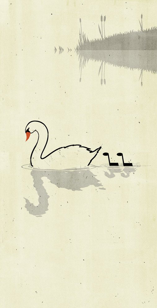 Swan Sketch