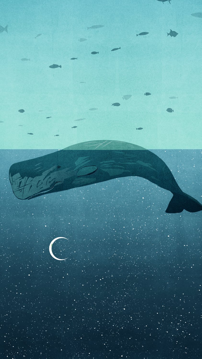 Whale Island