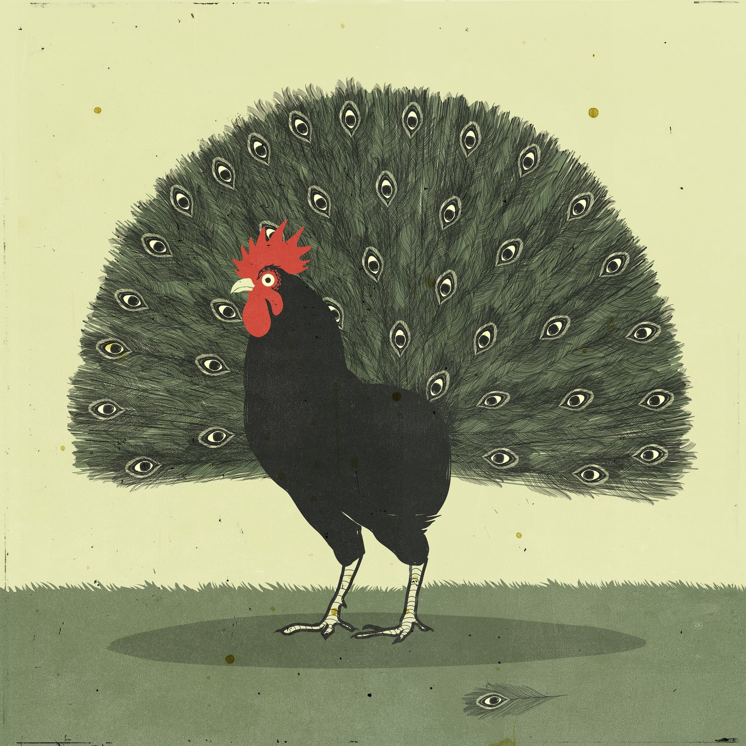 Hen with a Peacock Tail