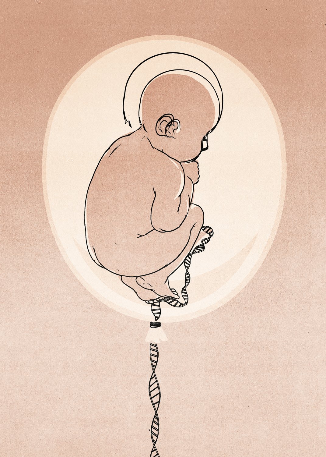 Unborn Child and the DNA Cord