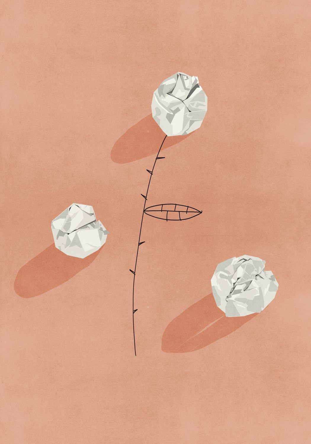 Paper Flowers