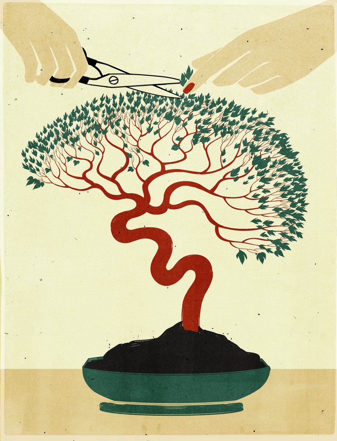 Bonsai Being Pruned