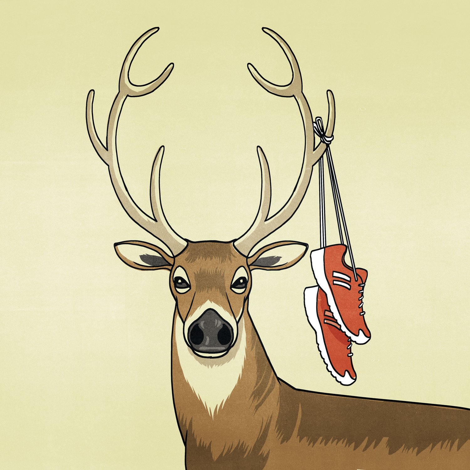 Deer with Sneakers on the Antlers