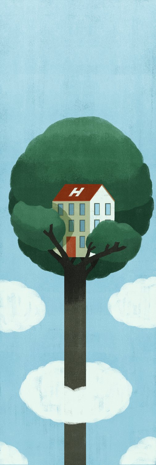 House in the Treetop