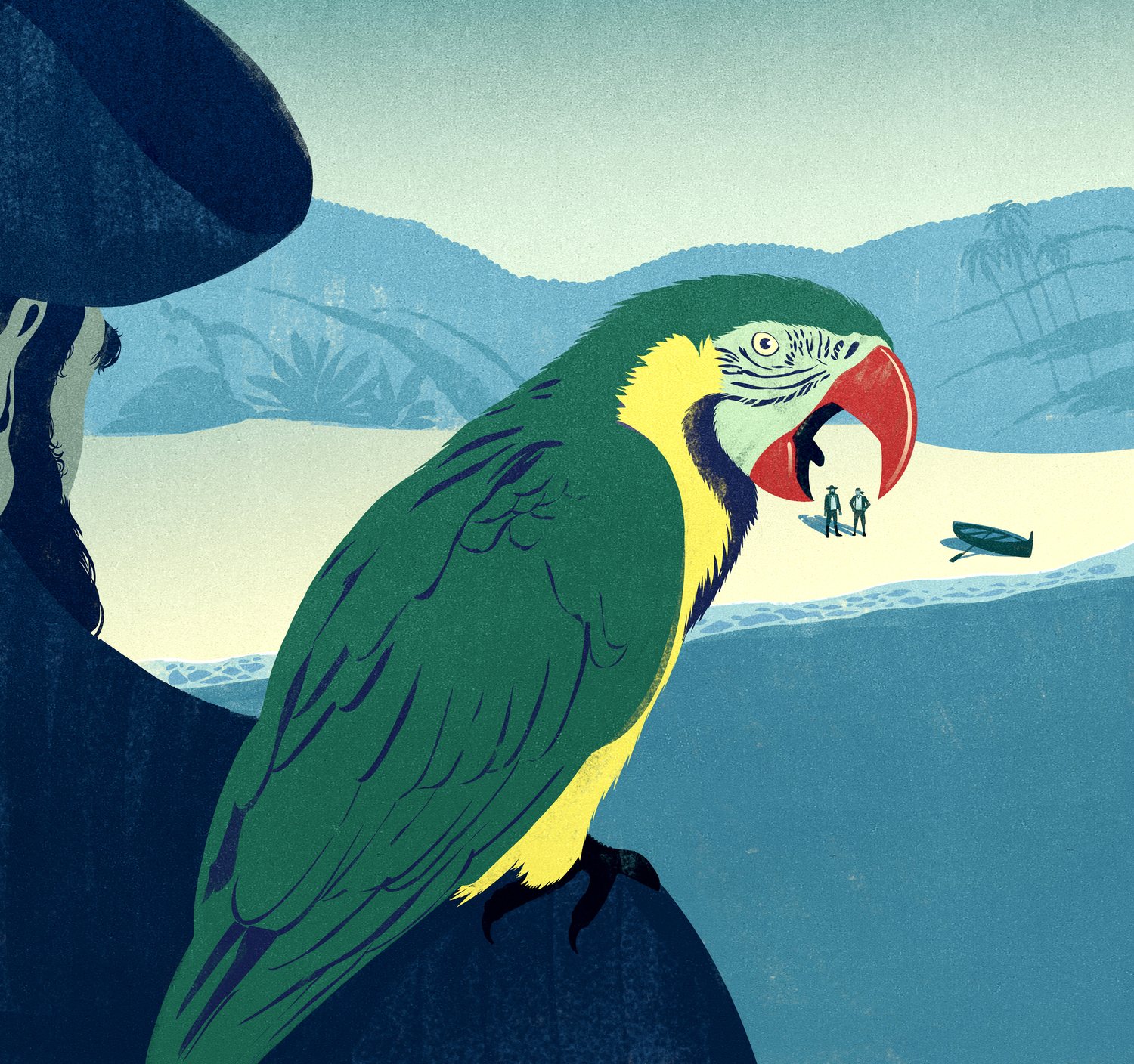 Parrot over the Bay