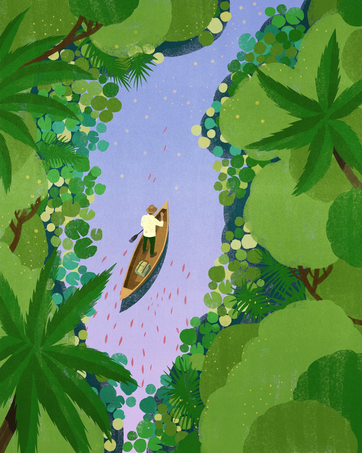 Canoe on the Jungle River