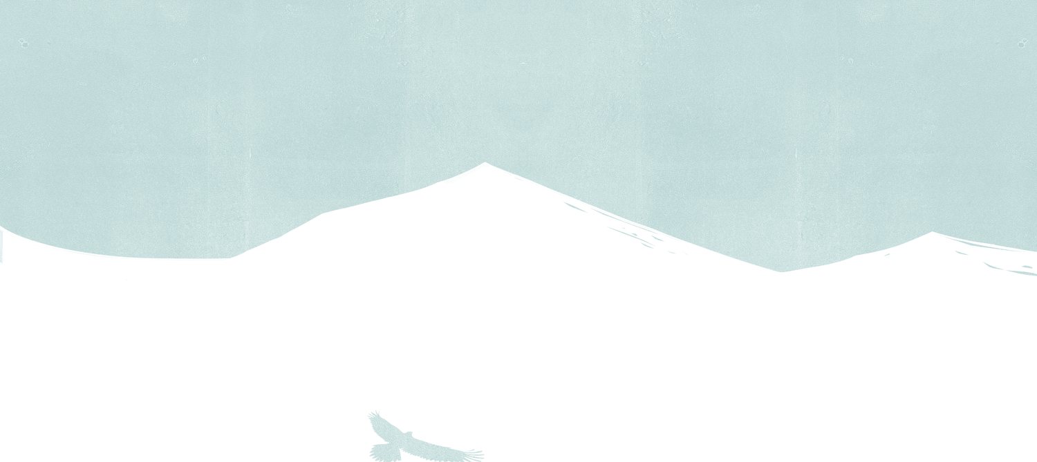 Bird over the Snowy Hills