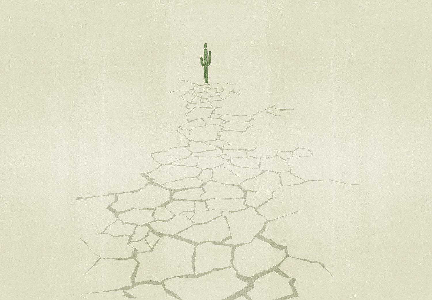 Cracked Path to a Cactus