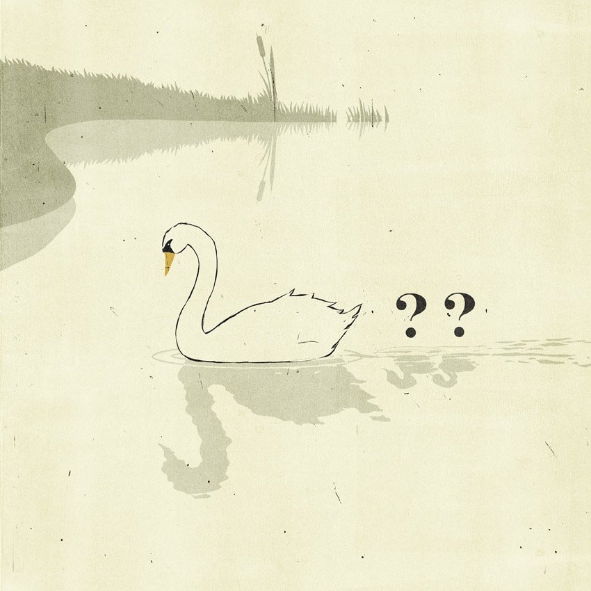 Swan with Question Marks