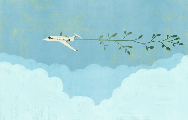 Airplane with an Olive Branch