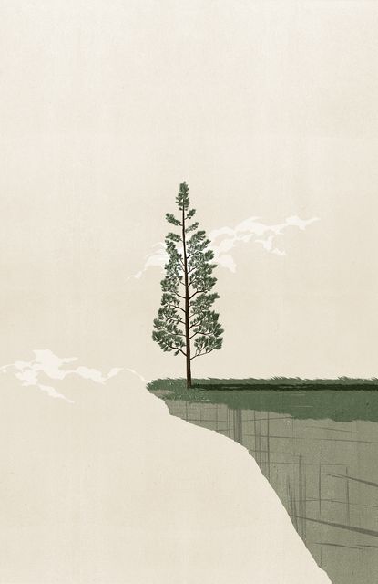 Tree at the Edge