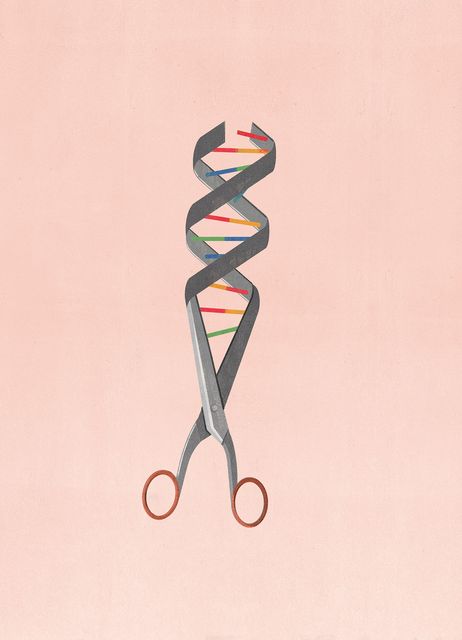 DNA Scissors