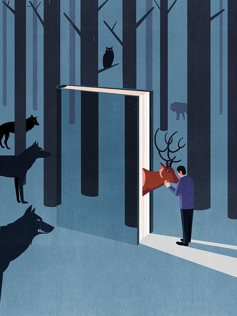 Door in the Forest