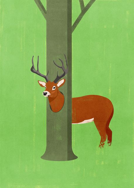 Deer behind the Tree