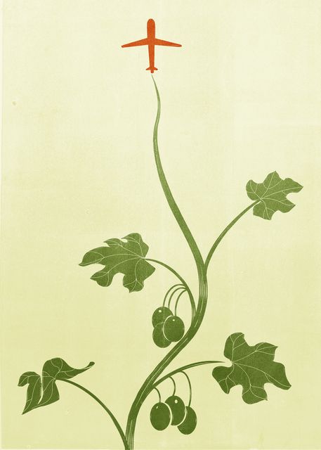 Vine Reaching an Airplane