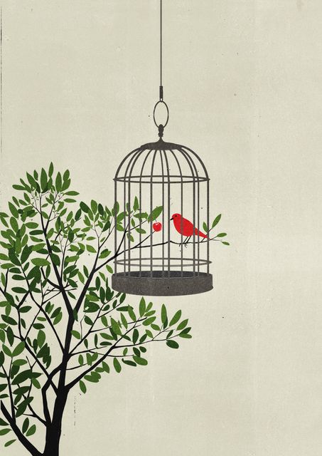 Open Cage
