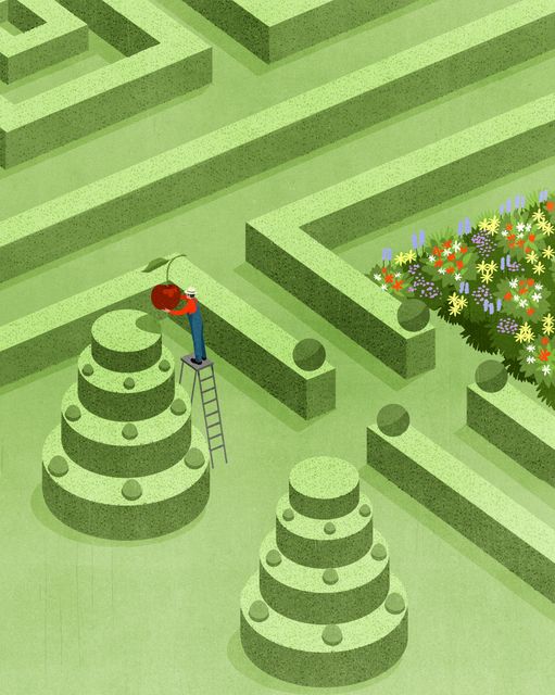 Hedge Maze