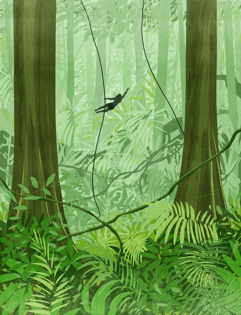 Jungle