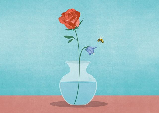 Rose in a Vase