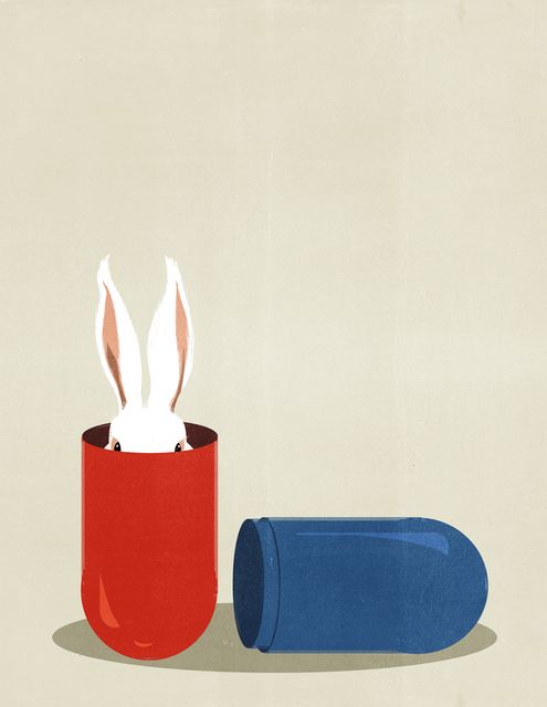 Rabbit in the Capsule