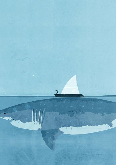 Shark beneath the Boat