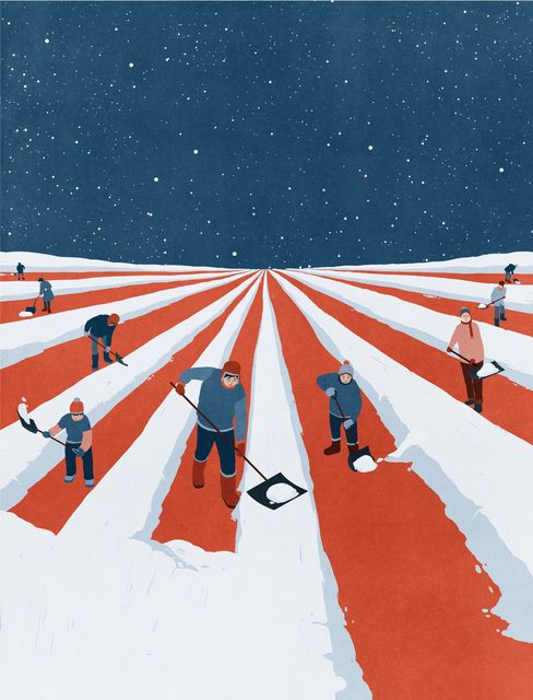 Snow Shovellers