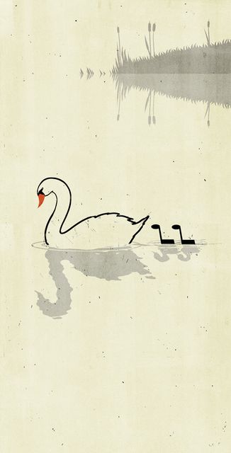 Swan Sketch