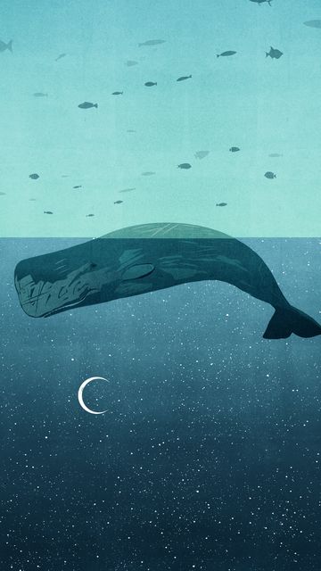 Whale Island