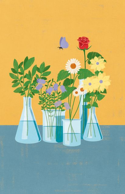 Flowers in Laboratory Flasks