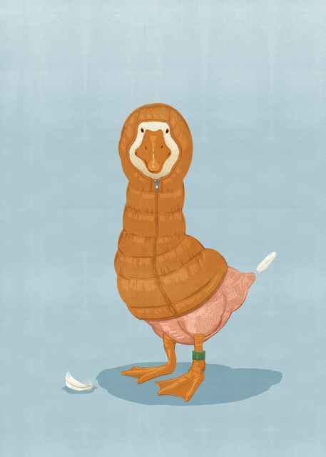 Duck in a Puffer Jacket