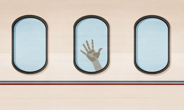 Hand at the Airplane Window