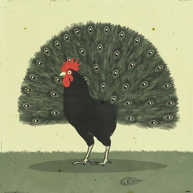 Hen with a Peacock Tail